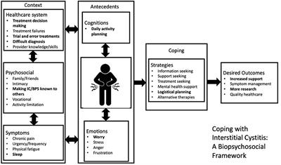 Gender differences in the experience of interstitial cystitis/bladder pain syndrome